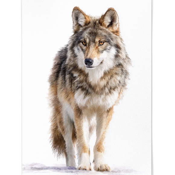 Watercolor Wolf with Mystical Aura Portrait Wall Art Print Poster, Unframed - Picture 2 of 6